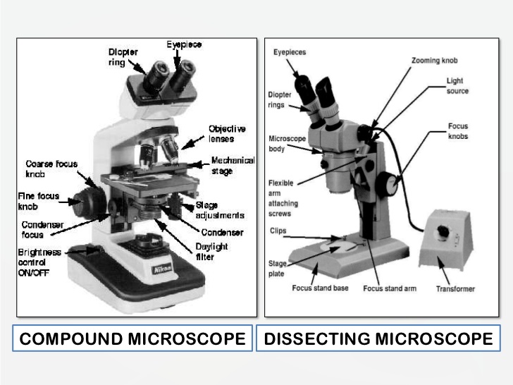 lookthrough microscope